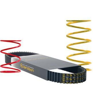 Golf Cart Clutch Kit Severe Duty Ezgo 13hp TXT RXV ST400 2008 to 2011