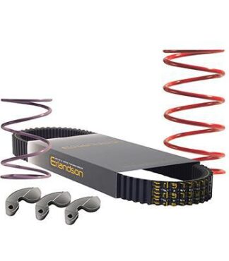 Yamaha Drive (G29) Severe Duty Clutch Kit