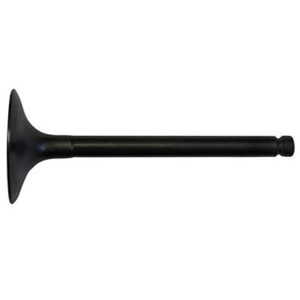 Club Car DS (96+) Intake Valve