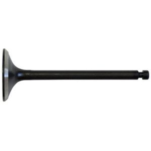 Intake Valve for Yamaha G11, G16, G22, G29 Drive